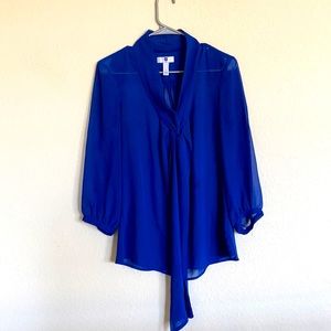 Blue Sheer blouse. GAP